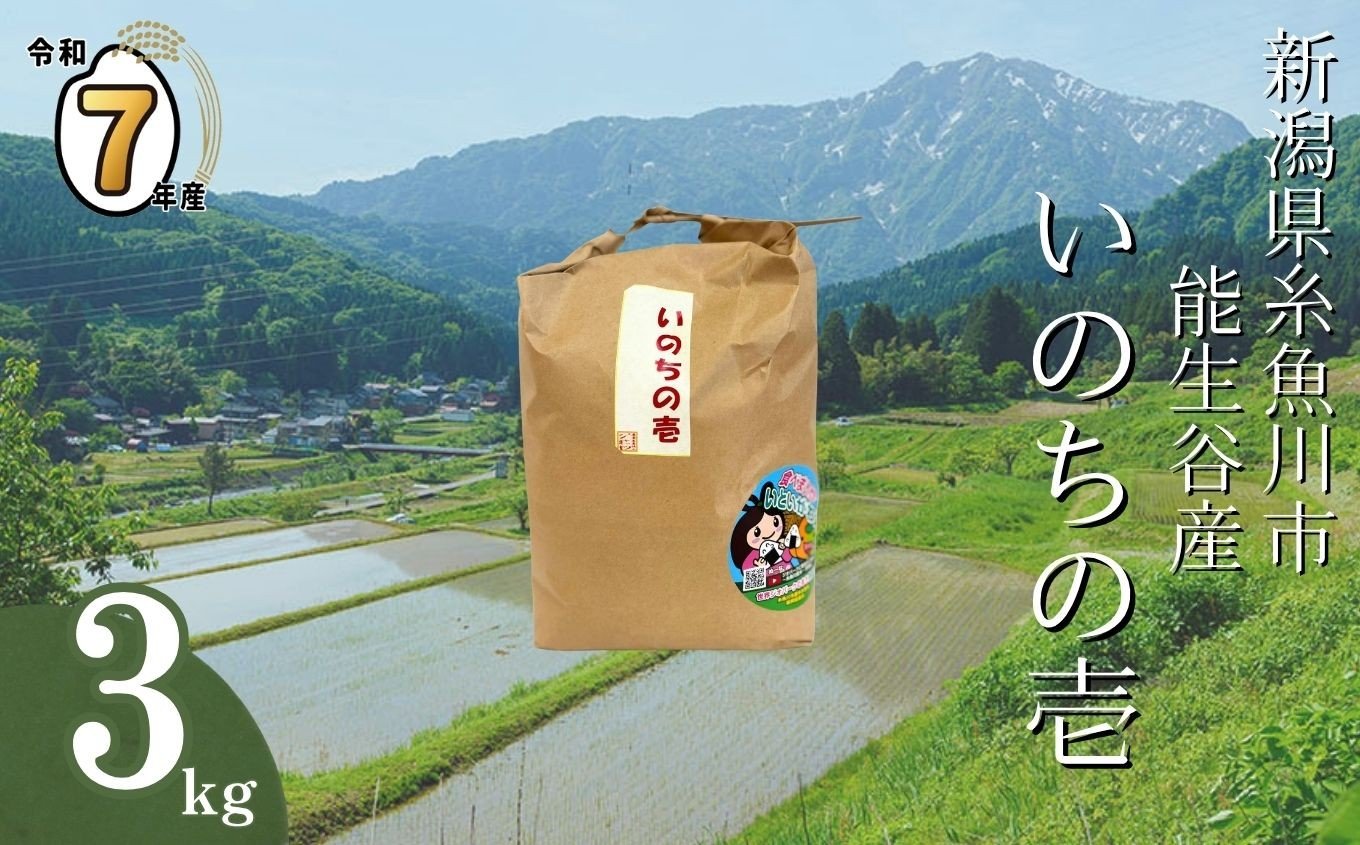 
            【選べる発送時期】令和7年産 新潟県能生谷産『いのちの壱』3kg（白米）棚田米 農家直送 2025年産 JATs有限会社【新潟県 糸魚川市 米 お米 こめ コメ ご飯 ライス ふるさと納税米 ブランド米 おすすめ ギフト 3キロ 精米 白米 人気 食品 選べる配送月】
          