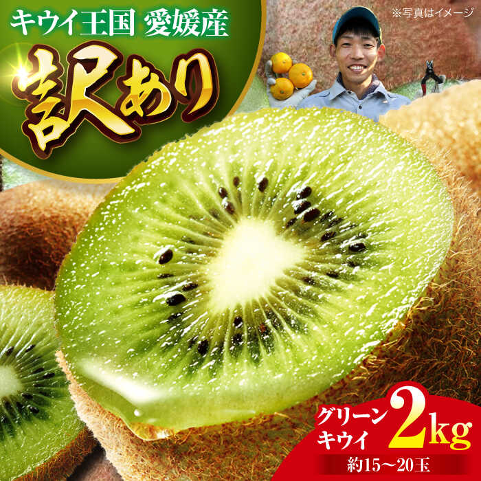 【ふるさと納税】【先行予約】【11月中旬から順次発送】【訳あり】 グリーンキウイ 2kg （約15玉から20玉） 栄養たっぷり！大洲市/玉川農園[AGBC011] 先行予約 キウイ キウイフルーツ 果物 くだもの フルーツ 愛媛県産 大洲市産 産地直送 おすすめ 人気