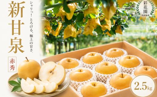 
                  新甘泉(赤秀) 2.5kg【彩花園】【もぎたて 旬 フルーツ 果物 オリジナルブランド 新品種 赤梨 梨 シャキシャキ 新甘泉】
                