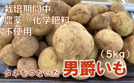 
                  皮ごと食べても安心　タネをつないだ男爵イモ（5kg）【栽培期間中農薬化学肥料不使用】
                