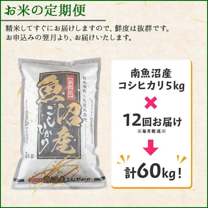 【令和7年】【定期便】新潟県 南魚沼産 コシヒカリ お米 5kg×計12回 精米済み 年間 毎月発送 （お米の美味しい炊き方ガイド付き）