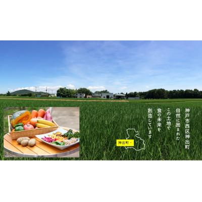 ふるさと納税 神戸市 神戸咲く咲くチップス詰め合わせ |  | 03