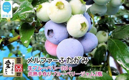 【先行予約】【期間限定】 旬にお届け 完熟生ブルーベリー 350g 完熟手作りブルーベリージャム 2瓶 セット メルファーふたがみ エコえひめ認証  【寄附受付：8月10日まで】