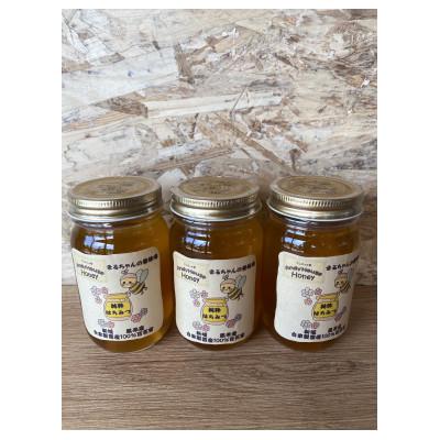 ふるさと納税 新城市 まるちゃん養蜂場 百花はちみつ 計900g(300g×3本)