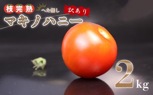 【訳あり】トマト 2kg 前後 中玉 マキノハニー 枝完熟 へたなし ヘタなし 便利 甘い 皮 柔らかい わけあり ワケあり 夏野菜 やさい 緑黄色野菜 旬 しゅん 生 国産 鮮度 お弁当 こだわり ランキング おすすめ 国産 自宅用 おいしい 夏 サラダ レシピ 丸ごと うまみ 新鮮 野菜 人気 そのまま 赤い ケチャップ グルメ 料理 産地直送 やさい 静岡県 牧之原市 トマトップ