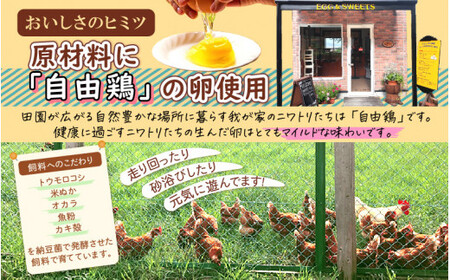 [037-a010] カットシフォンケーキ 10個セット（プレーン5個 、紅茶5個）