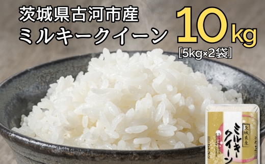 新米 令和6年産 古河市のお米 ミルキークイーン 10kg（5kg×2袋） ※着日指定可 | 米 こめ コメ 10キロ ミルキークイーン みるきーくいーん 古河市産 茨城県産 贈答 贈り物 プレゼント 茨城県 古河市 直送 産地直送 送料無料 着日指定可 着日指定OK _DP91