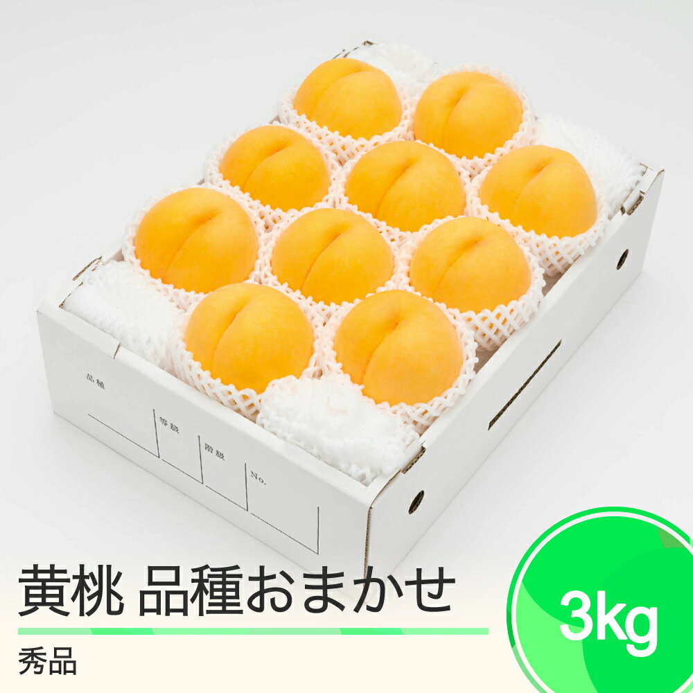 【ふるさと納税】もも 有袋黄桃 秀品 品種おまかせ 化粧箱入り 約3kg 2025年産 送料無料 フルーツ 果物 大石田 ns-mootx3※沖縄・離島への配送不可