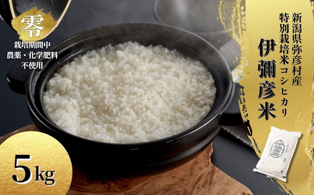 
                  令和8年産 栽培期間中農薬不使用コシヒカリ「伊彌彦米 零(ぜろ)」新潟県産 精米 5kg_米 お米 白米 コシヒカリ 精米 特別栽培米 伊彌彦米 5kg 送料無料 新潟県 弥彦村【1351275】
                