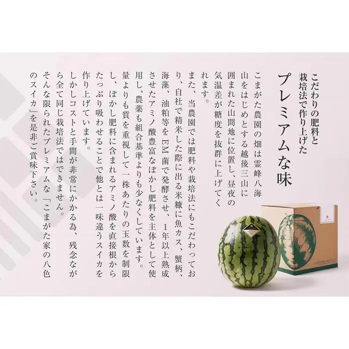 【2026年7月下旬〜8月上旬順次発送予定】高級南魚沼八色産スイカ「こまがた家の八色のスイカ」プレミアム大玉 1玉