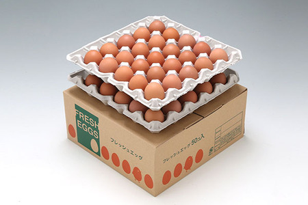 ＜8月中旬発送＞スズキのたまご 6か月定期便！ 地養卵50個（入金期限：2025.7.25）