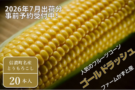 2026年夏のご予約受付開始！ 信濃町名産とうもろこし『ファームかずとのゴールドラッシュ 20本セット』粒皮が薄く生でも食べられる、フルーツを凌ぐほどの甘いとうもろこし 朝採れを農場から直送　令和8年