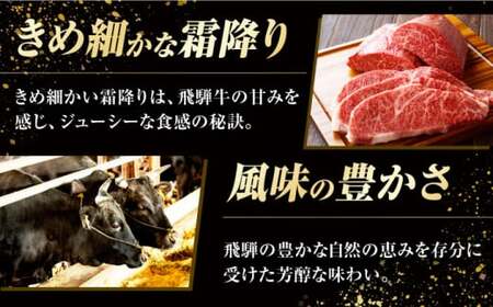飛騨牛 ステーキ用計500g 白川町 / 浅井商店[AWBJ007] 飛騨牛