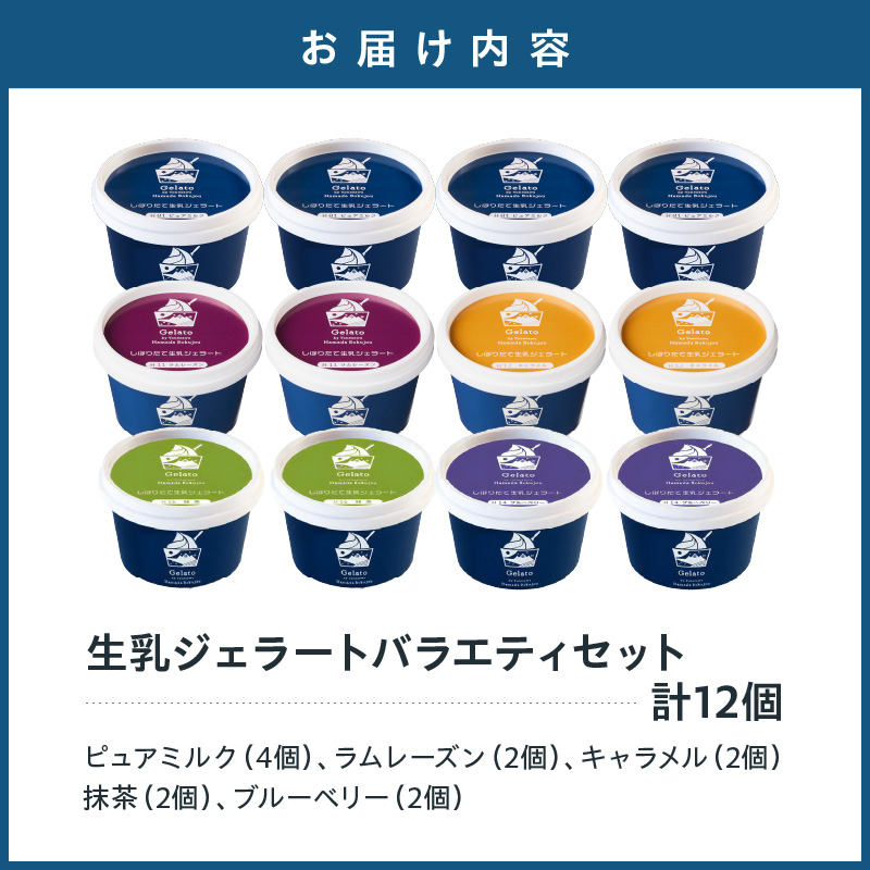 生乳ジェラートバラエティセット　12個