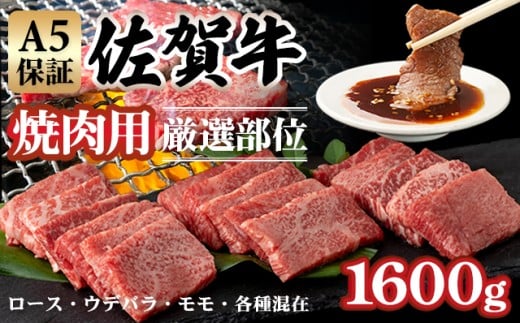 【佐賀牛】 【8月】A5 焼肉用 厳選部位 1,600g（400g×4P）桑原畜産 ブランド牛 黒毛和牛 焼肉 九州 佐賀牛 A5だけ 薄切り 焼き肉 やきにく 人気 ランキング 焼肉 高評価 牛肉 国産