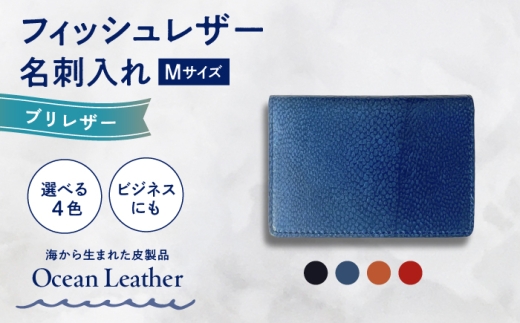 【Ivory Black】Ocean Leather 名刺入れ〈ブリ〉Mサイズ【興洋フリーズ株式会社】 [ATBX084]