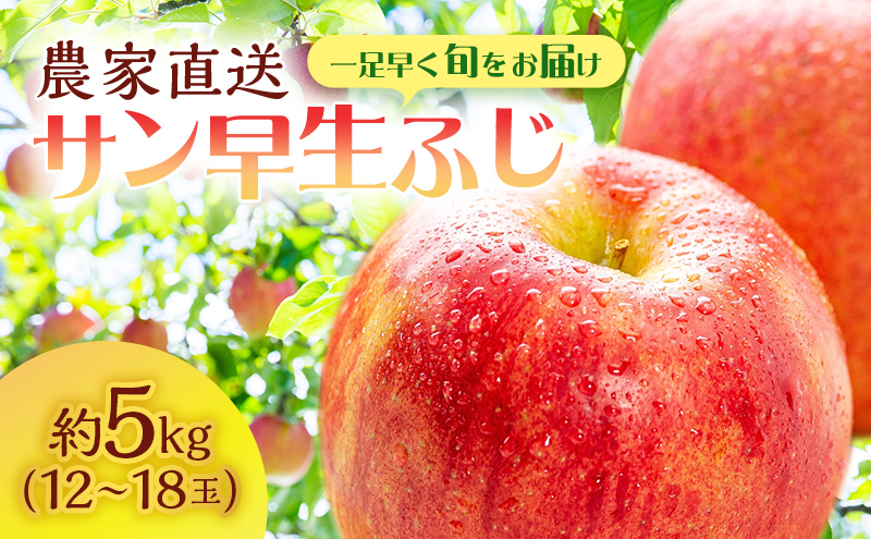 【クール便でお届け】りんご 青森 サン早生ふじ (弘前ふじ) 約5kg (12～18玉)  サイキチ農園 青森県 鰺ヶ沢町産 ふじ 早生ふじ サンふじ フルーツ 果物 贈答用 贈答 ギフト 白神山地 果物類