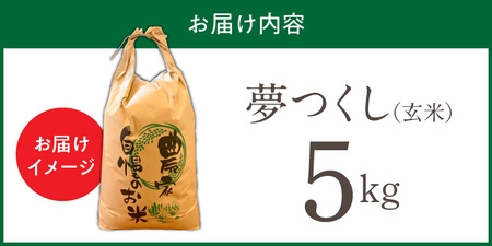 【令和7年産 新米】福岡県産ブランド米夢つくし 玄米 5kg_夢つくし 玄米 内容量 5kg 福岡県産 ブランド米 鮮度抜群 新鮮 福岡生まれ 品種 艷やか 光沢 ふっくら やわらか 食感 ご飯 おに