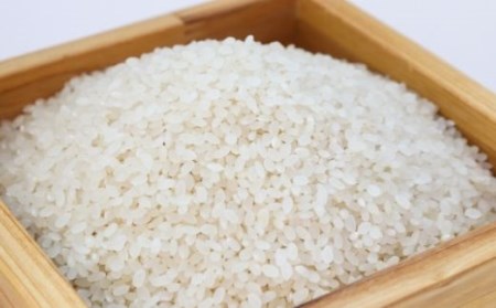 No.2114古関商店【令和6年産】福島松川のコシヒカリ 精米2kg