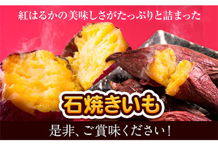 【数量限定】冷凍 石焼きいも 約1.2kg 300g×4袋《1月中旬-4月末頃出荷》熊本県 葦北郡 津奈木町 紅はるか 焼き芋 やきいも 焼芋 みのり農園
