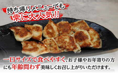 冷凍 博多一口餃子 25個入り×10パック＜麺専科げんき＞那珂川市 餃子 博多 冷凍 ぎょうざ 一口餃子 ひとくち餃子 博多餃子[GEG003]