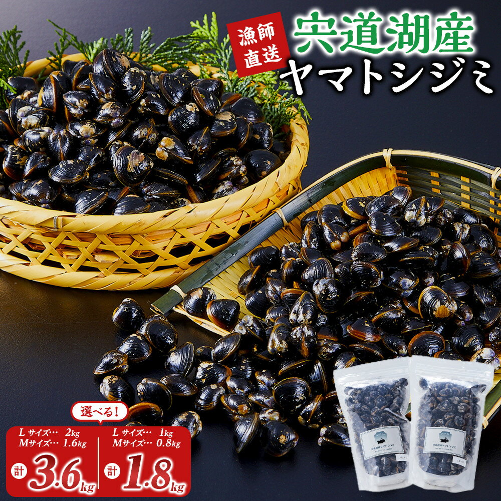 【ふるさと納税】【選べる内容量】漁師直送！宍道湖産ヤマトシジミ・食べ比べ（Lサイズ+Mサイズ）