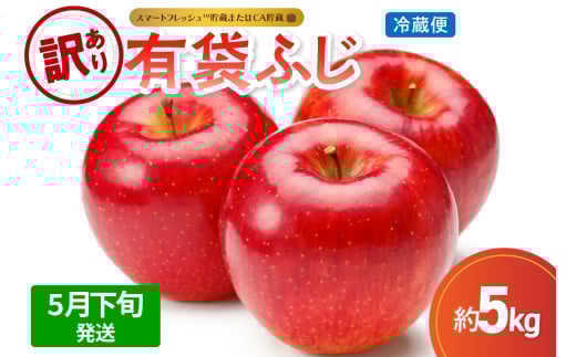 【2025年5月下旬発送】【訳あり】りんご有袋ふじ5kg(スマートフレッシュTM貯蔵又はCA貯蔵・クール便)