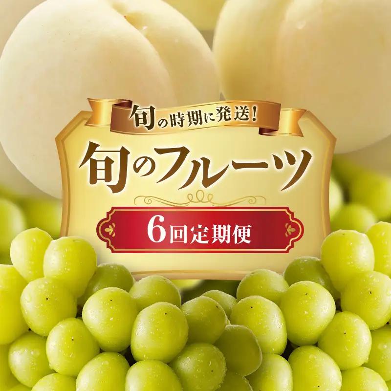 フルーツ定期便 白桃 シャインマスカット 岡山県産 フルーツ定期便【6回】【先行予約】