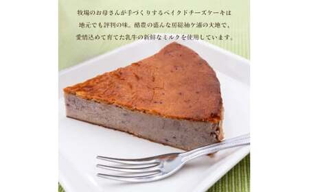 奥野牧場ベイクドチーズケーキ ホール (大) ブルーベリー｜チーズ ケーキ スイーツ フルーツ ミルク 牧場 ギフト お祝い 袖ケ浦 [0227]
