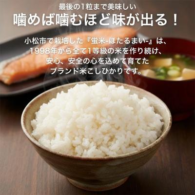 ふるさと納税 小松市 【先行予約】【定期便】 令和8年産 小松市産 こしひかり 精米 5kg×3ヶ月(毎月) |  | 01