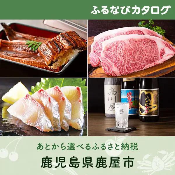 【有効期限なし！後からゆっくり特産品を選べる】鹿児島県鹿屋市カタログポイント