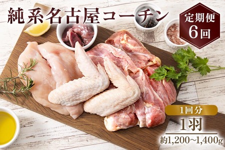 純系名古屋コーチン 定期便 (1羽×6回)【0874】