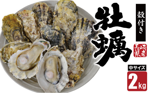 
【期間限定発送】【数量限定！】雲仙産 牡蠣 中サイズ 2kg 加熱用・殻付き [ふるさと企画 長崎県 雲仙市 item1536] カキ かき 殻付 2キロ 冷蔵 カンカン焼き 季節限定
