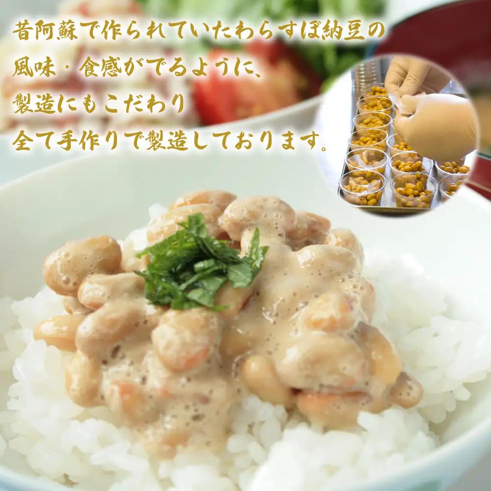 【定期便全6回】【銀賞受賞】納豆（阿蘇産大豆使用）30g×30個 全6回 大粒 国産 手作り 阿蘇おふくろ工房 冷凍 小分け 阿蘇市