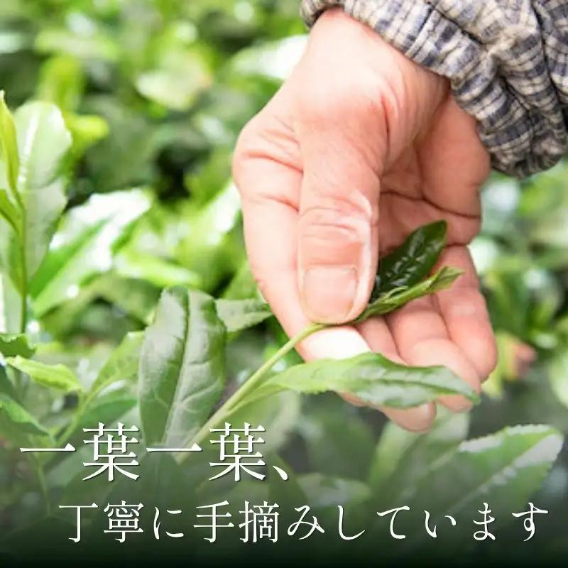 京都 最高傑作玉露 【 屋敷の茶 】8g×30袋入 玉露