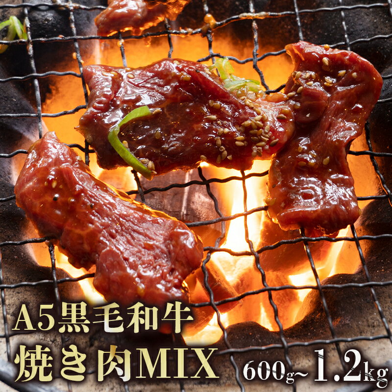 【ふるさと納税】 A5 黒毛和牛 焼肉MIX 600g / 1.2kg 150g小分けパック 冷凍 自家製 旨辛 味付け肉 揉み込み 焼き肉用 BBQ ミックス肉 牛肉 モモ カルビ ロース 熨斗 ギフト 御歳暮 お歳暮 お中元 お中元 プレゼント 贈答 お祝い ABCフーズ
