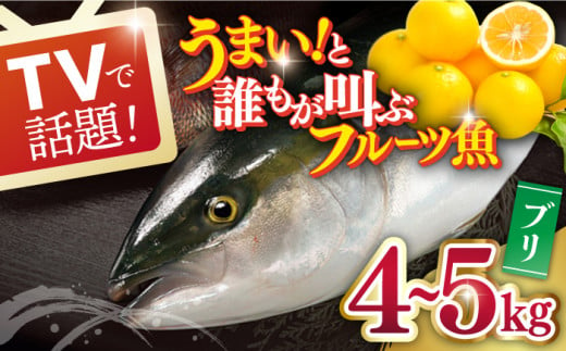 
【まるごと一本！誰もがウマい！と叫ぶフルーツ魚】ブリ 平戸なつ香 約4〜5kg【坂野水産】 [KAA003]
