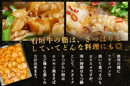 希少な特選石垣牛のホルモンをご家庭で！！秘伝の味噌味マルチョウ300g×4パック【 沖縄 石垣 和牛 石垣牛 希少 特選 肉 味噌 みそ 味付 ホルモン マルチョウ 冷凍 小分け 】IM-17