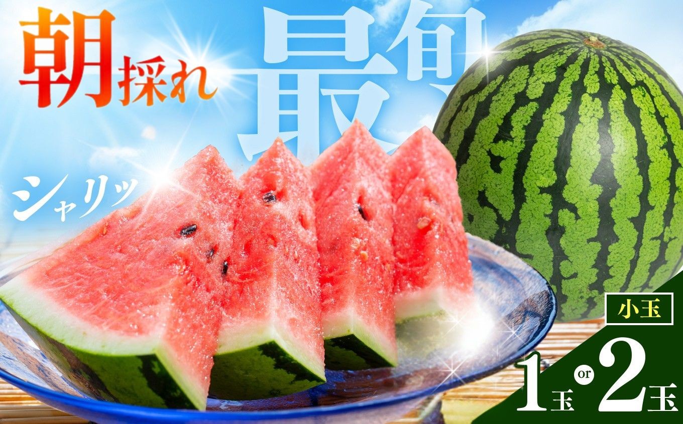 
                  【 順次出荷中！】小玉スイカ 熊本和水町産 スイカ 小玉 1玉 or 2玉   | 熊本県 和水町 くまもと なごみまち すいか 西瓜 小玉2玉 季節限定 果物 フルーツ 果物 野菜 | ふるさと納税 オススメ 返礼品
                