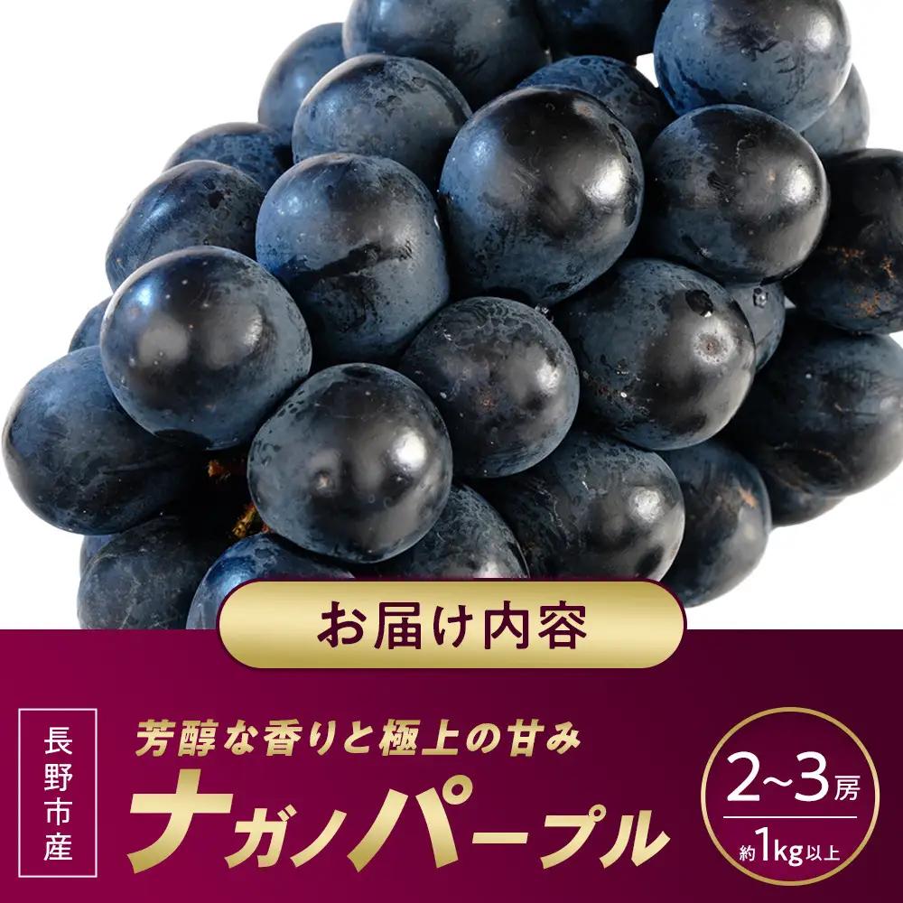 ナガノパープル約1kg 以上【2026年9月以降発送予定】(さらしな青果) | ぶどう ぶどう 種なし