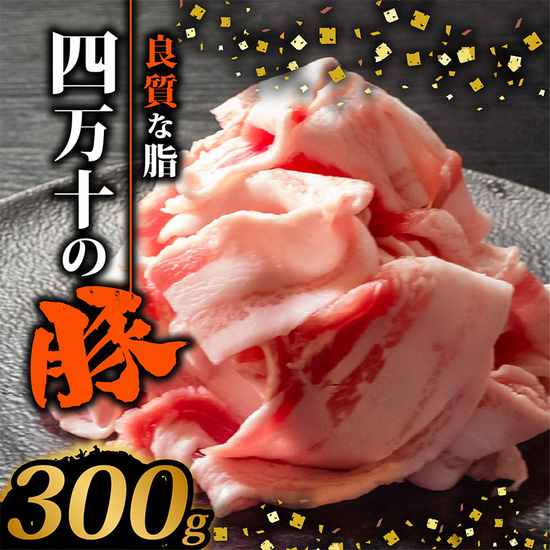 四万十ポークスライス300g | 豚肉 豚バラ肉 小分け 小間切れ スライス 切り落とし 冷凍 真空パック 簡単調理 細切れ 大容量 肉 高知県 須崎市 | 豚肉豚肉豚肉豚肉豚肉豚肉豚肉豚肉豚肉豚肉豚肉豚肉豚肉豚肉豚肉豚肉豚肉豚肉豚肉豚肉豚肉豚肉豚肉豚肉豚肉豚肉豚肉豚肉豚肉豚肉豚肉豚肉豚肉豚肉豚肉豚肉豚肉豚肉豚肉豚肉豚肉豚肉豚肉豚肉豚肉豚肉豚肉豚肉豚肉豚肉豚肉豚肉豚肉豚肉豚肉豚肉豚肉豚肉豚肉豚肉豚肉豚肉豚肉