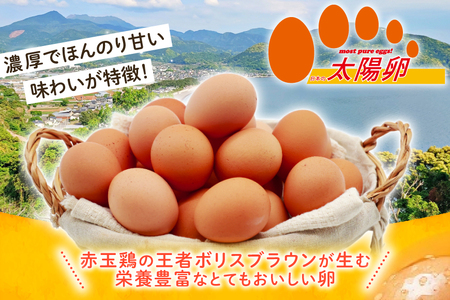 卵 太陽卵 10個入 3パック 計30個 [落水正商店 長崎県 雲仙市 item2142] たまご タマゴ 鶏卵 玉子 生卵 九州産 国産 卵焼き 玉子焼き たまご焼き