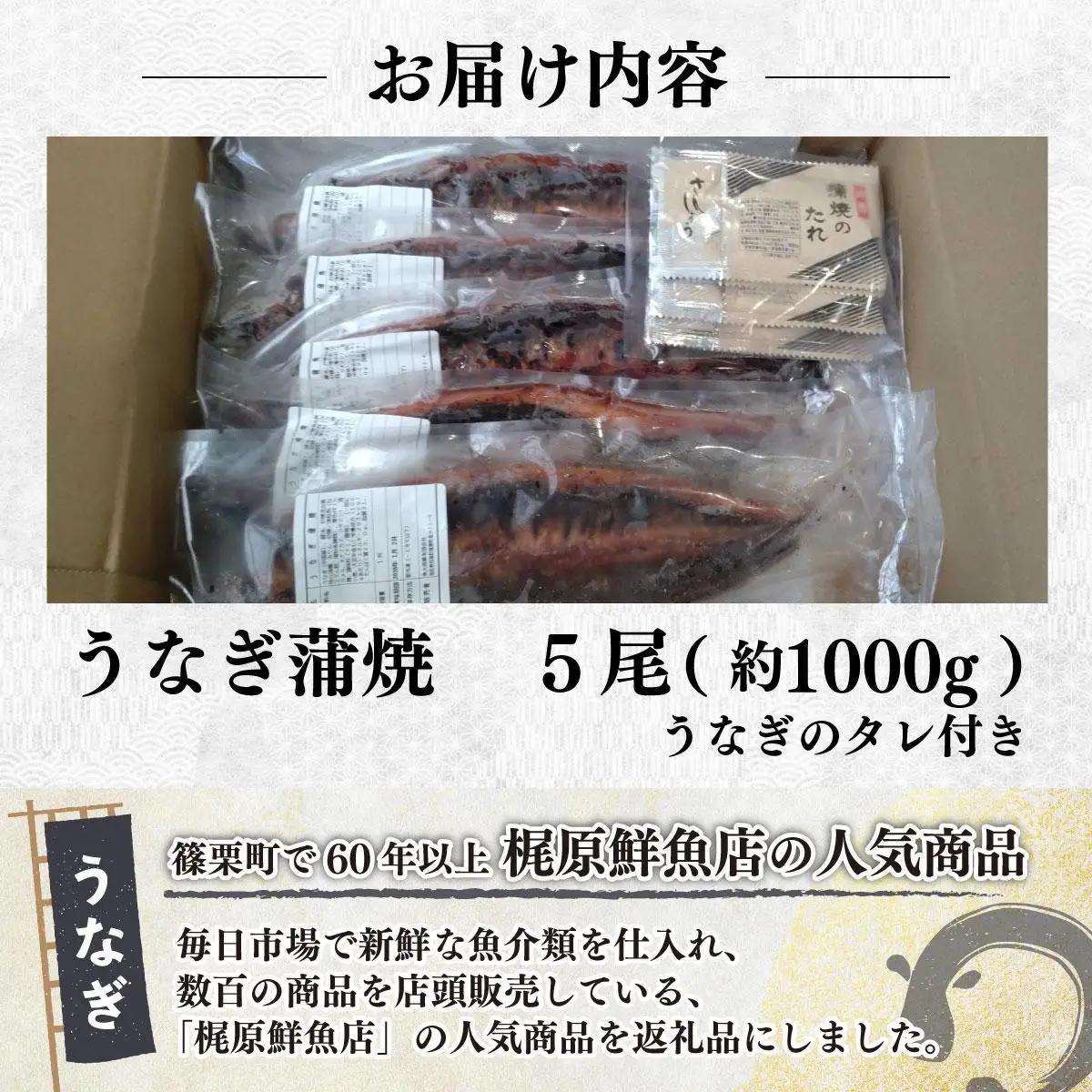 うなぎ蒲焼 約1,000g(5尾)タレ付き 