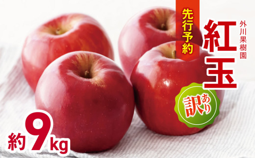 *【2025年先行予約】外川果樹園 訳あり 紅玉 約9kg｜リンゴ りんご 林檎 果物 フルーツ 果実 果汁 紅玉 こうぎょく わけあり 訳アリ 長野県 松川村 信州