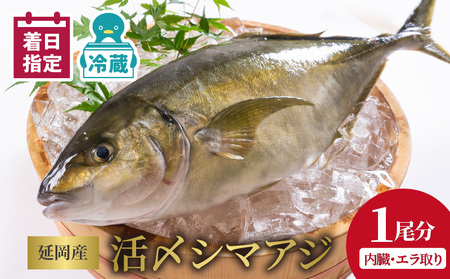 【冷蔵】延岡産活〆鮮魚職人技の脱血鮮魚シマアジ N019-YB823