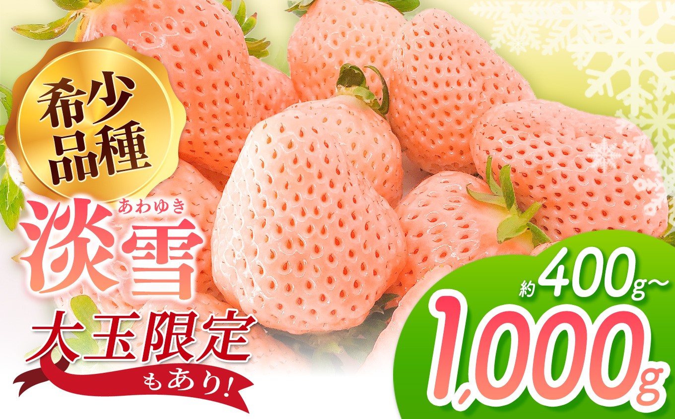 
            淡雪 選べる 約400g（大玉限定）or 約500g or 約1000g ｜ フルーツ 果物 苺 イチゴ いちご 淡雪 希少品種 熊本 玉名
          