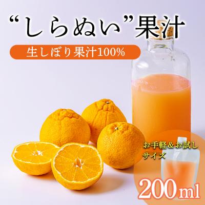 ふるさと納税 高原町 手搾り不知火(しらぬい)果汁200ml×1p　TF882