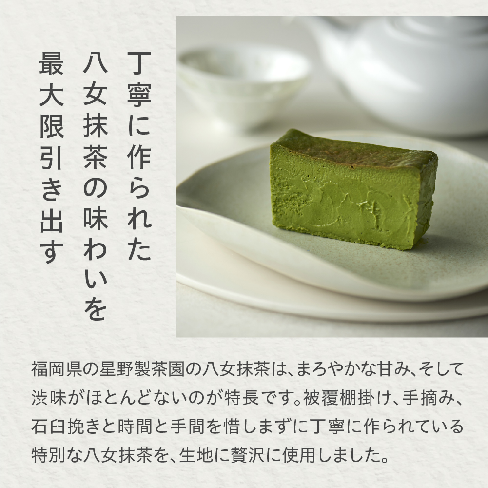 Mr. CHEESECAKE Fine Green Tea / Bag (ミスターチーズケーキ ファイングリーンティー/バッグ)