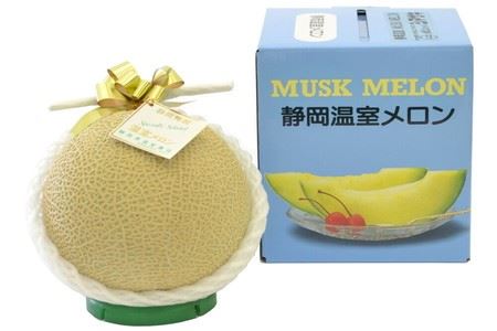 訳あり 静岡マスクメロン【1玉】 訳あり OR FN-SupportProject OR 増量 OR 年末企画 訳あり (a12-068)