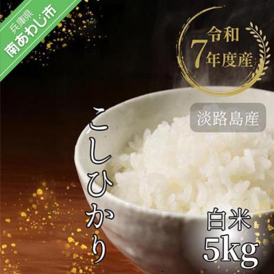ふるさと納税 南あわじ市 令和7年産　淡路島産こしひかり　白米5kg